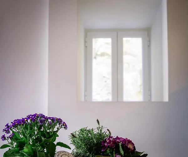 De Pedra E Sal & * Σετούμπαλ